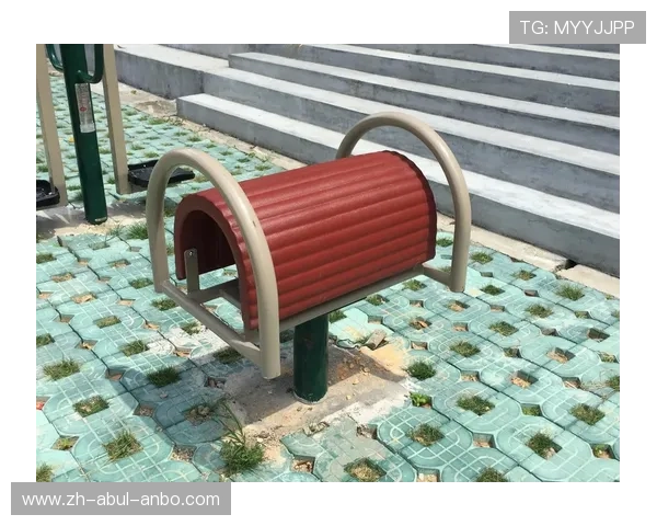 山东小区健身器材:山东地区小区健身器材的普及与需求分析 山东小区健身器材:山东地区小区健身器材的普及与需求分析