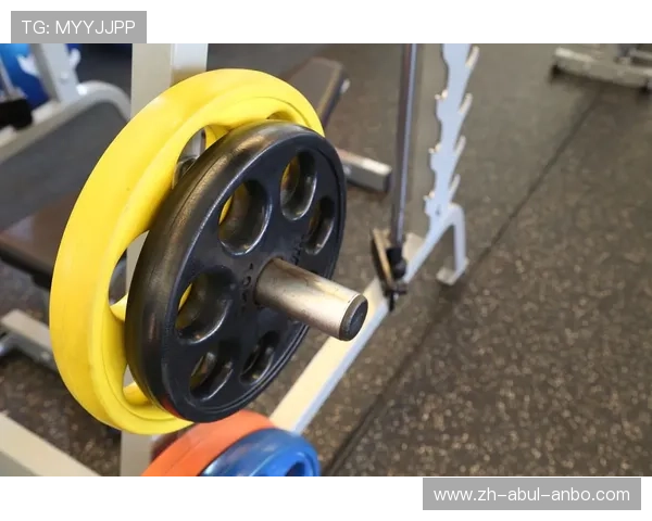 飞鸟健身器材应用及滑轮系统优势解析